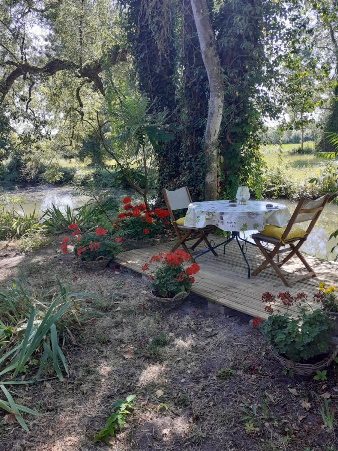 Gite " Jardin Peyrona" Visite Zoo Beauval Et Chateaux De Loire Beaulieu-lès-Loches Eksteriør bilde